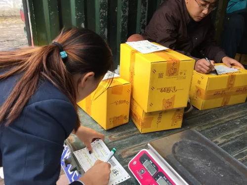 電商賦能太行百歲品牌，助力初級農產品收購新篇章